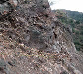 ALI013 Rocky outcropping