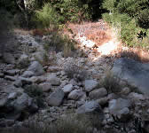 ABN008 Dry creek crossing