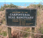 CSB005 Seal Sanctuary