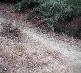 CSW014 Dead end spur trail