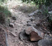 CSW002 Rocky trail