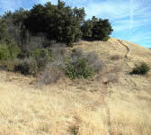 Santa Cruz Trail