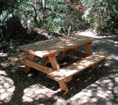 JES004 New picnic table