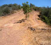 PAR011 Junction trail