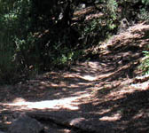 PAR015 Junction trail