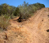 PAR009 Junction trail