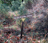 RRT005 Devil's Canyon Trail junction