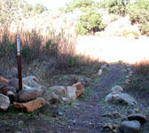 RRT008 Trail crossing stream