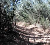 MMU005 Saddle Rock Trail junction